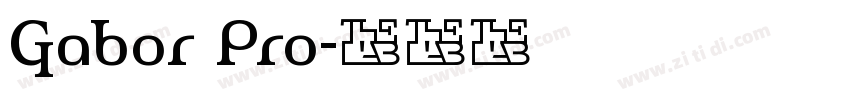 Gabor Pro字体转换